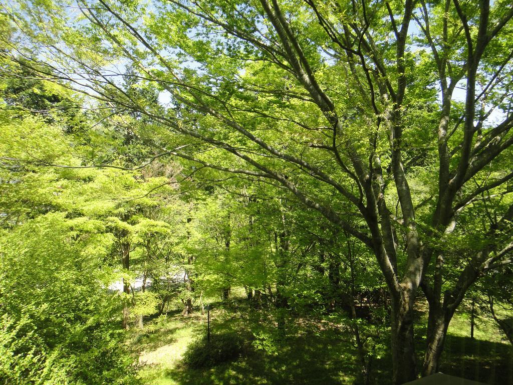 Top Resort Hakone Onsen Goku No Yado Dış mekan fotoğraf